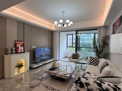 衢州柯城南区香榭丽舍现代精装电梯房金茂府世纪天成新宏蓝庭世纪锋尚新青年出租房源真实图片