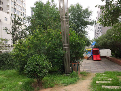 苏荷时代
