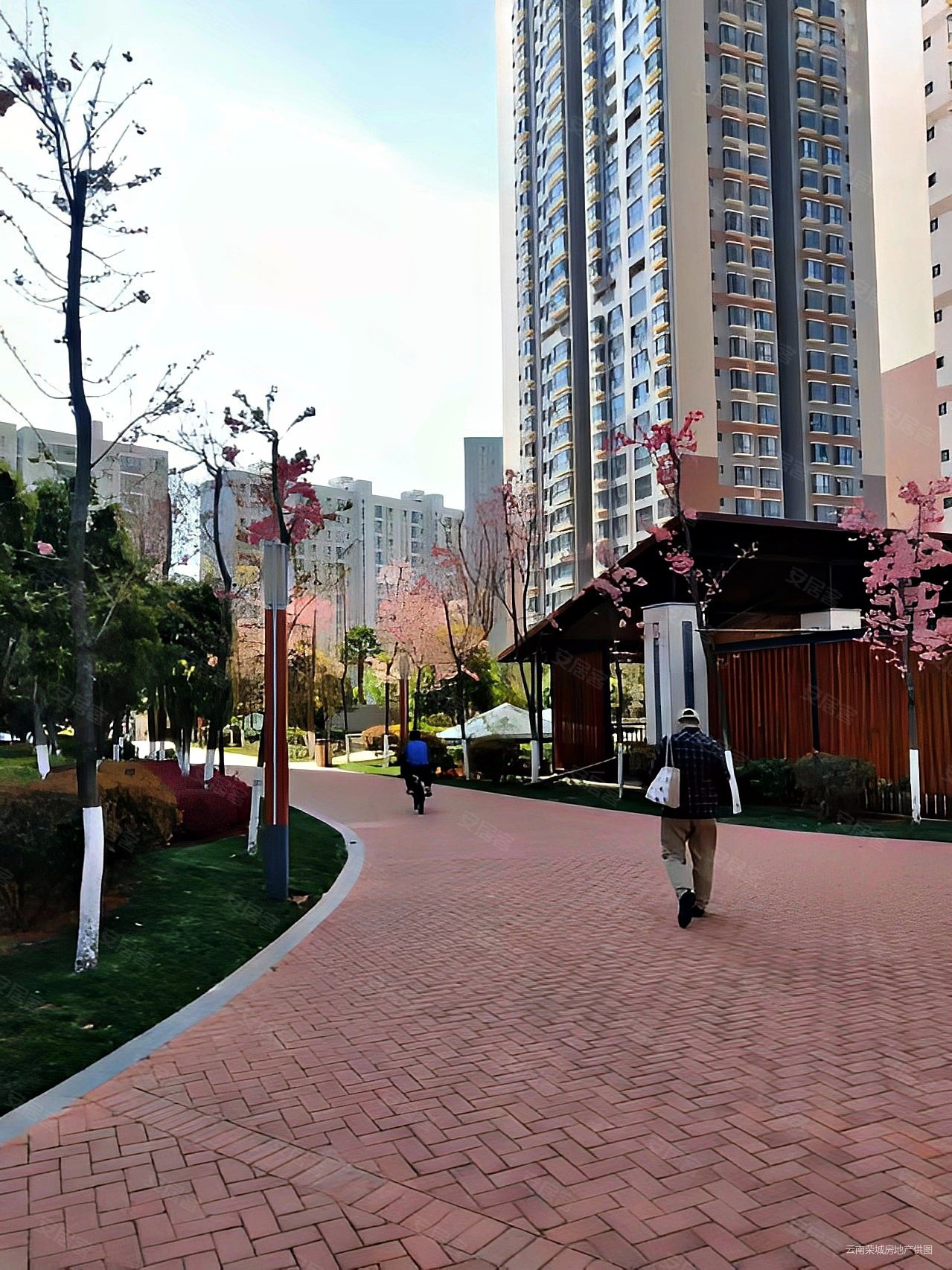 急售送车位江东誉峰峰景毛坯3房南北向