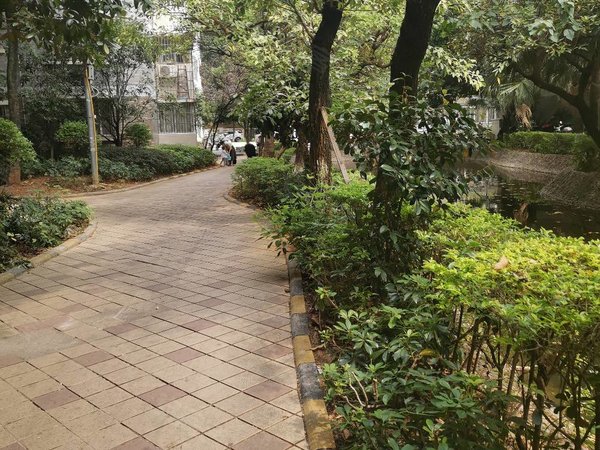 桂林临桂榕山金汇嘉园人民路金狮巷金汇嘉园3房精装家电家具齐全拎包