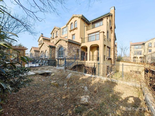 青建橄榄树别墅