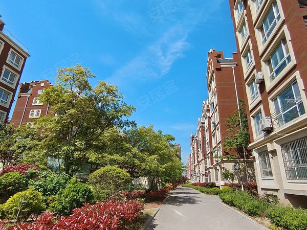 青岛黄岛薛家岛南岛小镇南岛小镇多层套二,南北通透,年租,看房随时