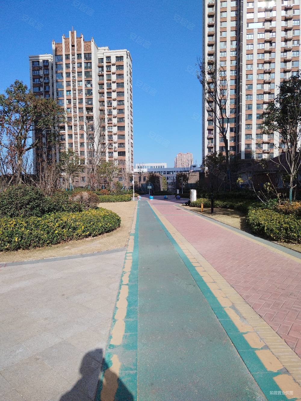 公园壹号(丰县)4室2厅2卫127㎡南北73万