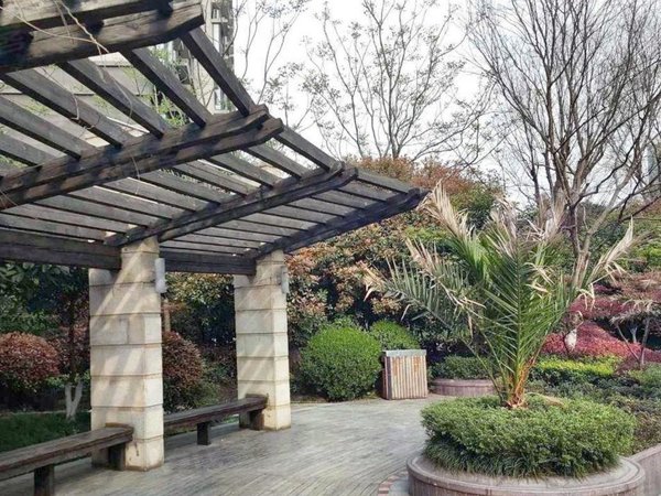 苏州沧浪沧浪新城世家苑实图实价短租四个月中医医院世茂广场亿象城