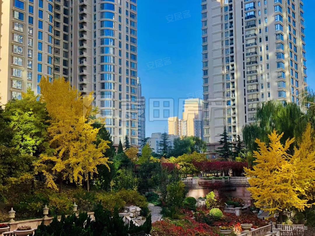 棕榈泉国际公寓