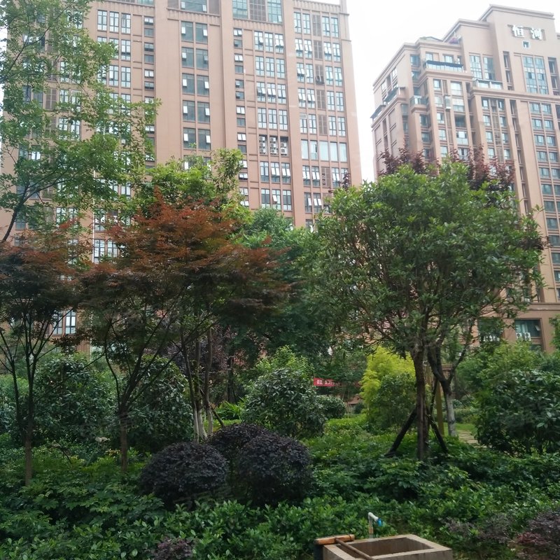 恒河外滩1号小区详情,房价走势,房源,业主论坛】- 南充58同城