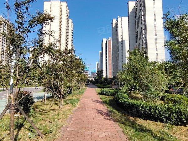 济南历下解放东路城投伴山居城投伴山居  配套齐全 电梯房 精装修出租