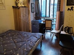怀化鹤城城中市中心地段，新天地单身公寓出租，带家具家电拎包入住出租房源真实图片