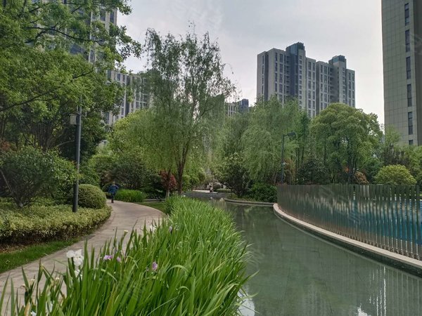 南京建邺江心洲仁恒绿洲新岛江枫园地铁10号线沿线旁 仁恒绿洲新岛 精