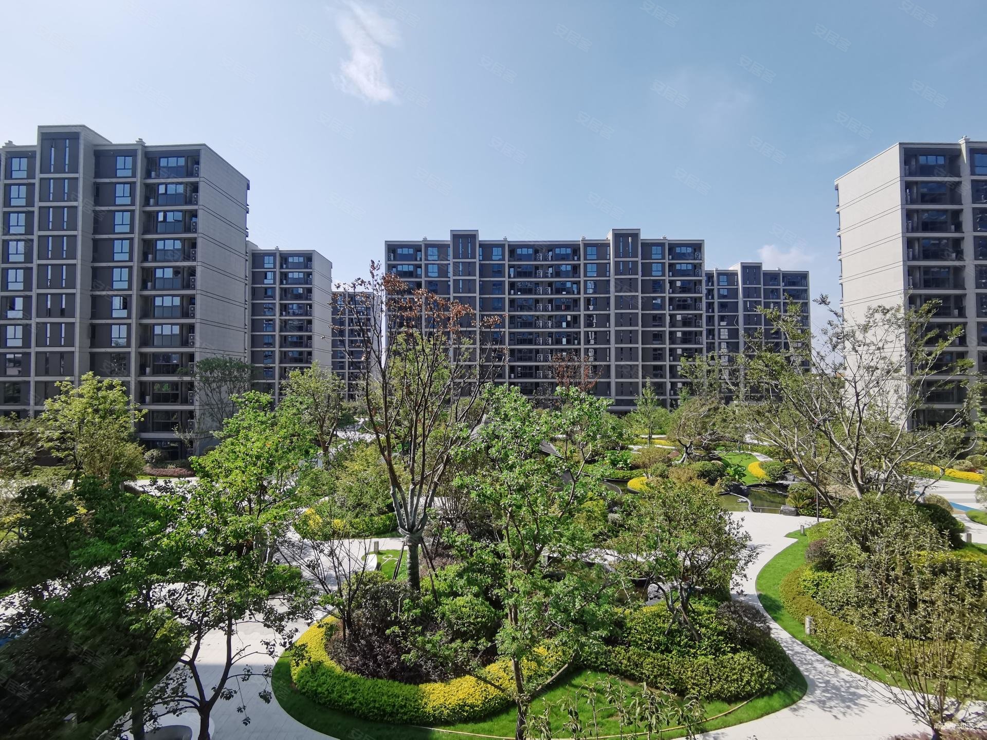 姚江晴雨大平层,看江看景都有,大小房源随时可看