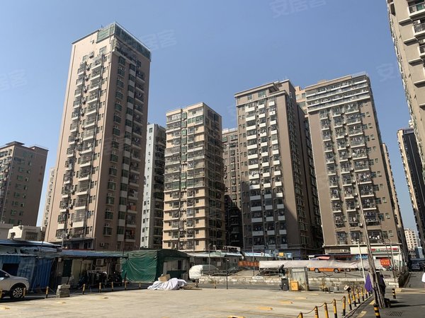 深圳宝安西乡麻布新村(西乡街道)一号线坪洲地铁站一房一厅押一直租