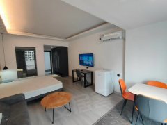 铜仁碧江碧江城区文化步行街多套精装公寓出租,家电齐全,租金600至1800出租房源真实图片