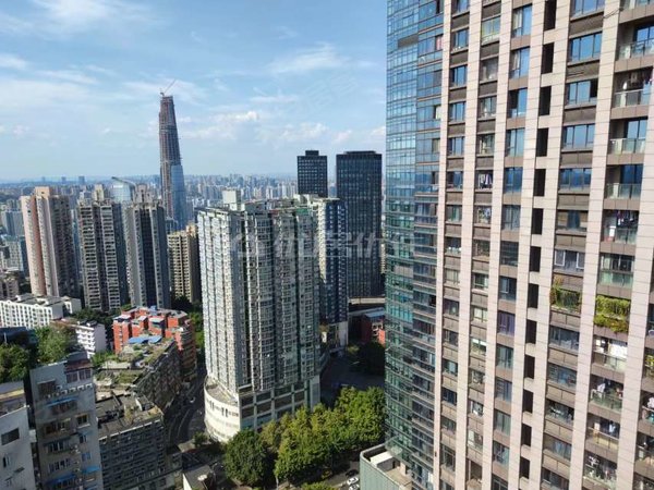重庆渝中大坪英利国际广场品质英利国际大2房急出租出租房源真实图片