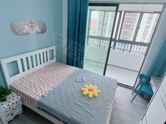 合肥新站陶冲湖新站广场附近主卧带阳台独立卫出租付一押一拎包入住靠京东方出租房源真实图片
