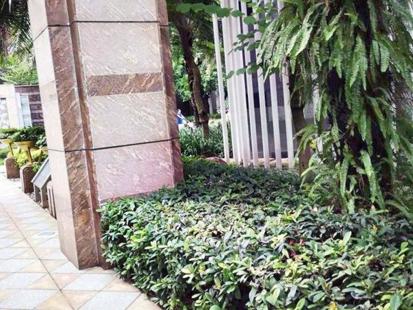 【多图】粤海丽江花园,珠江新城东租房,整租|粤海丽江 一线望公园 五