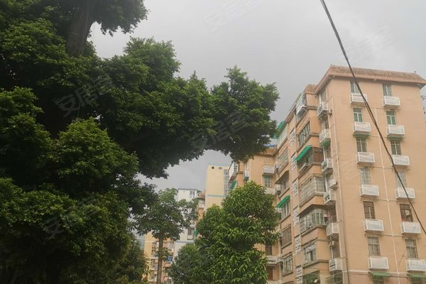 怡园小区(黄埔)