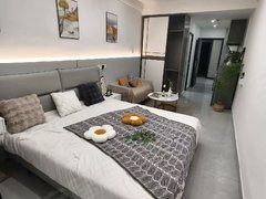 黄石黄石港万达广场市中心摩尔城附近，精致独门独户一室一厅。网红慵懒风，押一付一出租房源真实图片