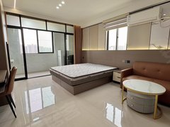 泉州丰泽东海湾东海湾 太古广场 精装公寓 全屋智能 干湿分离 拎包入住出租房源真实图片