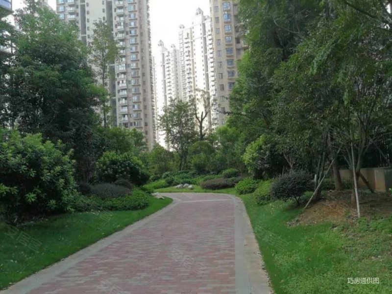 西站瑞都 交通便利 电梯房 小区新 商圈成熟 正南朝向,西站瑞都二手房