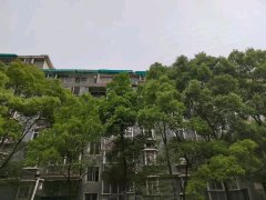 宜昌西陵东门龙腾佳苑 6室3厅2卫出租房源真实图片