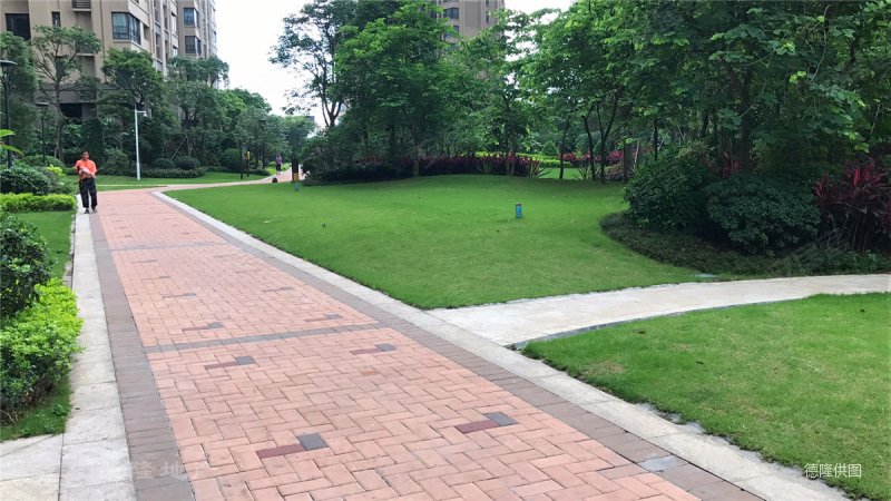 绿地洋房,3房2厅2卫,地铁锦龙站及近顺联广场.诚意出售,顺德绿地国际