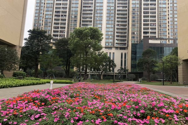 骏威锦东花园a区