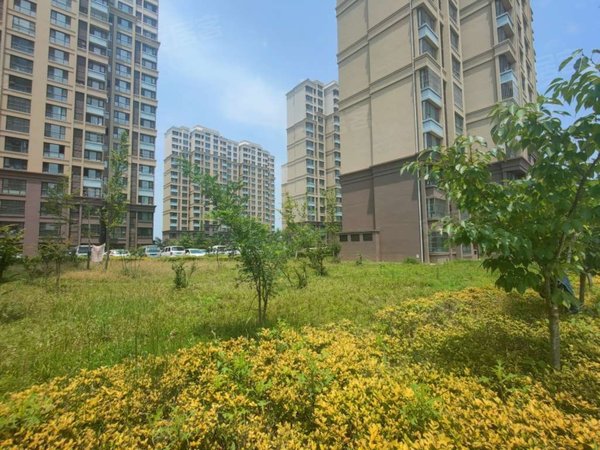 青岛黄岛隐珠天一畔城美林居(319-358)地铁口 精装电梯房 美林居 家具