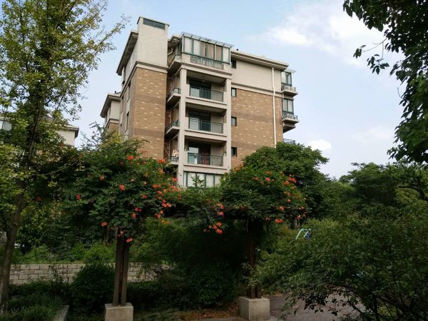 杭州余杭闲林集美岸上蓝山玉兰苑2房2厅卫1卫 清爽温馨 物品全 看房