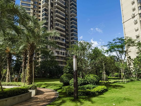 南宁兴宁区政府中海九玺中海九玺 精装3房 业主好说话 看房方便出租