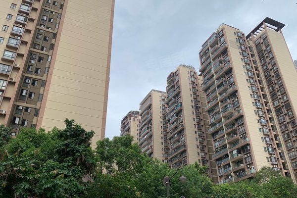 富宁新兴苑(南区)优点,不足,富宁新兴苑(南区)怎么