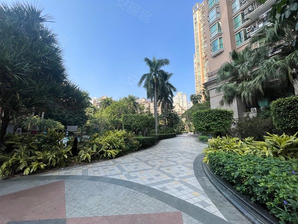 深圳南山南山中心区鸿瑞花园南山站南山书城 鸿瑞花园 精致一房 品质