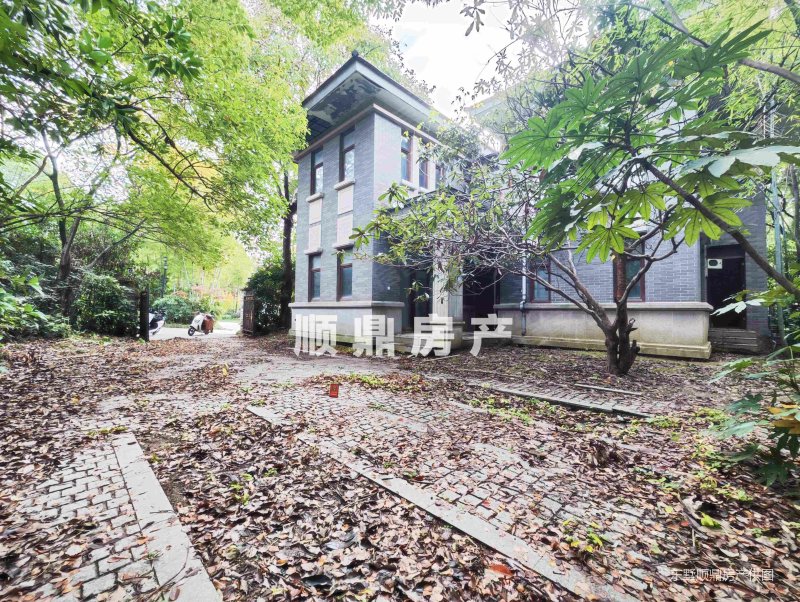 紫金山脚下明国风格独栋别墅降价急售纯毛坯