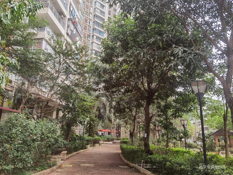 鹅岭北路骏景豪庭3房租售