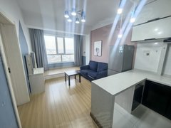 延边延吉北大区可月付 鑫苑小区（延边一中北大歌舞团）电梯 两室一厅 精装修出租房源真实图片