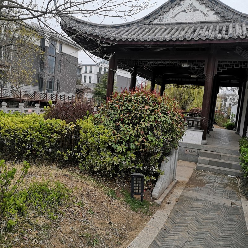 【一山一墅, 一山一墅小区详情,房价走势,房源,业主论坛】- 青岛58