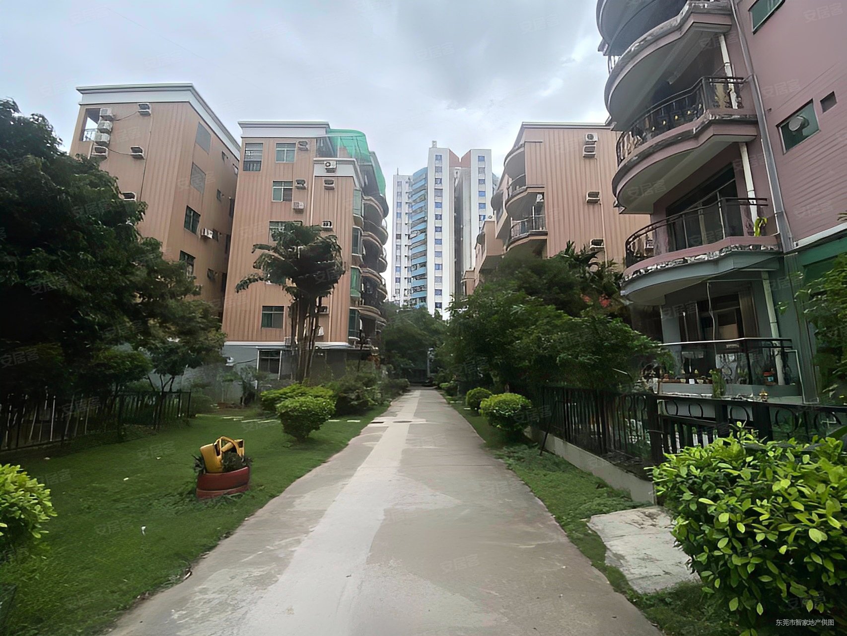 新丽城花园电梯三房两卫户型方正采光好家私电器全附送