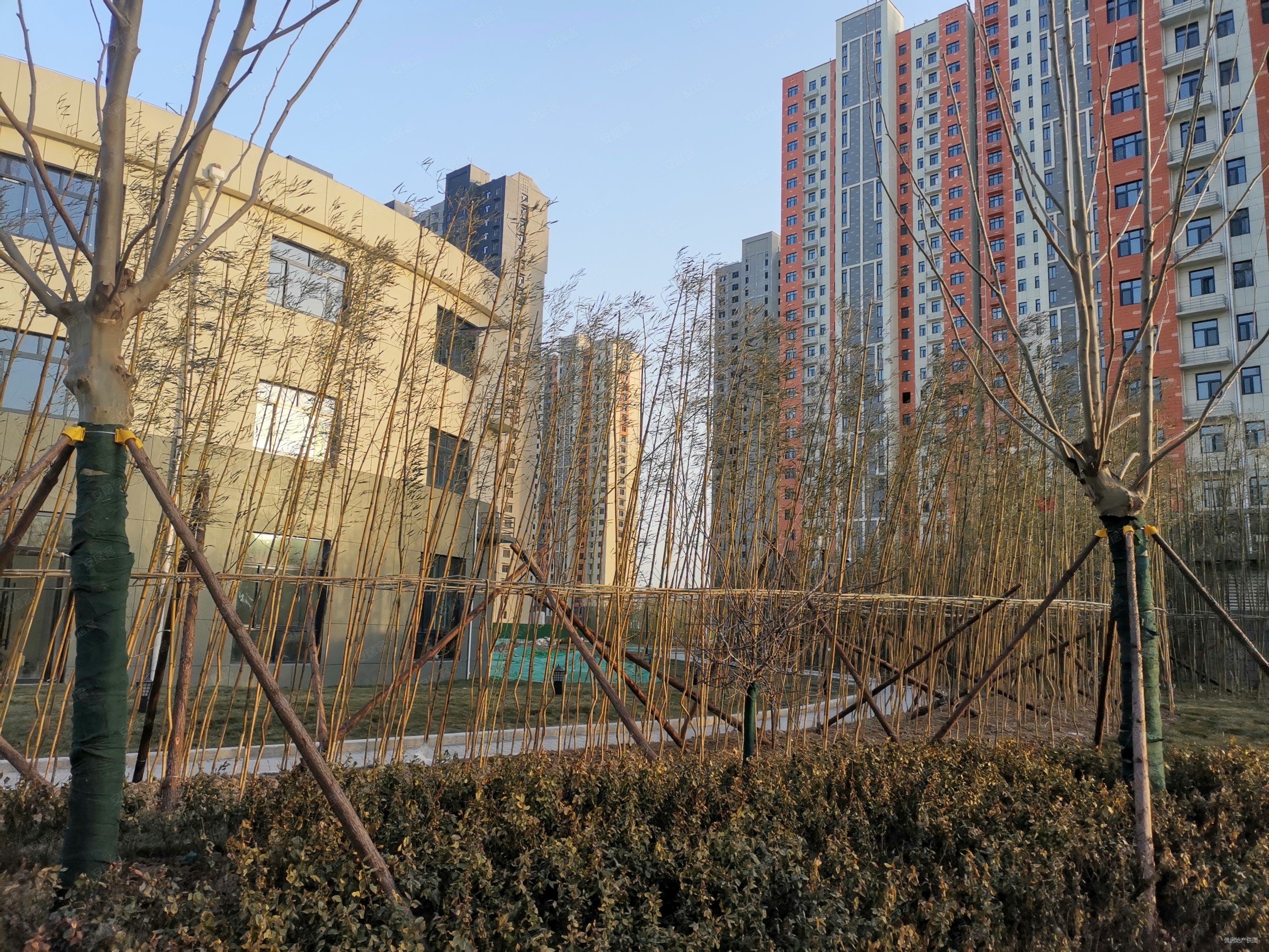 东门15中南池御都花园精装小三室