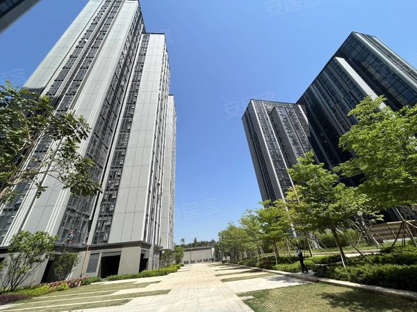 广州白云金沙洲金沙大都汇金沙大都汇 精装南向五房 大面积性价比高