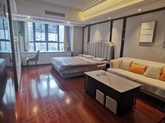 株洲天元滨江一村真房实拍 一桥旁江景精装公寓 业主好说话出租房源真实图片