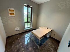 乌鲁木齐米东卡子湾水区豪装别墅环境优美实拍带花园 出租户型方正随时看房子出租房源真实图片