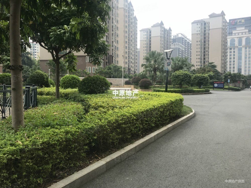 塘厦中心隆福花园175万底价医疗配套成熟带电梯