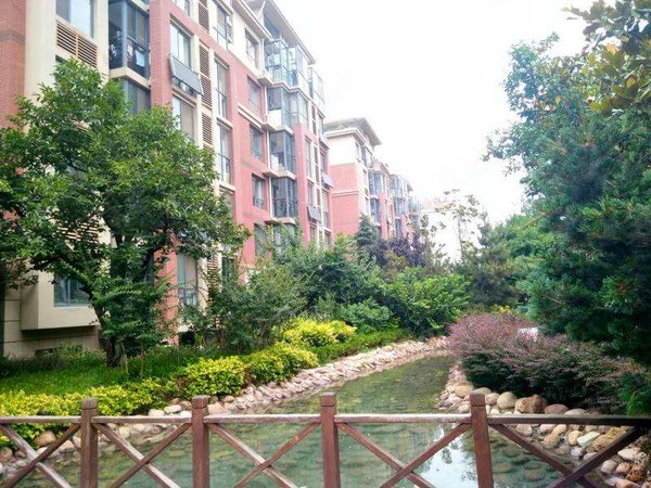 青岛城阳夏庄鑫江水青木华东方城商圈 水青木华 套二 1400月 多套出租