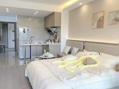 深圳龙岗平湖近双拥街地铁口 电梯精装 家私齐全 民水民电 交通便利出租房源真实图片