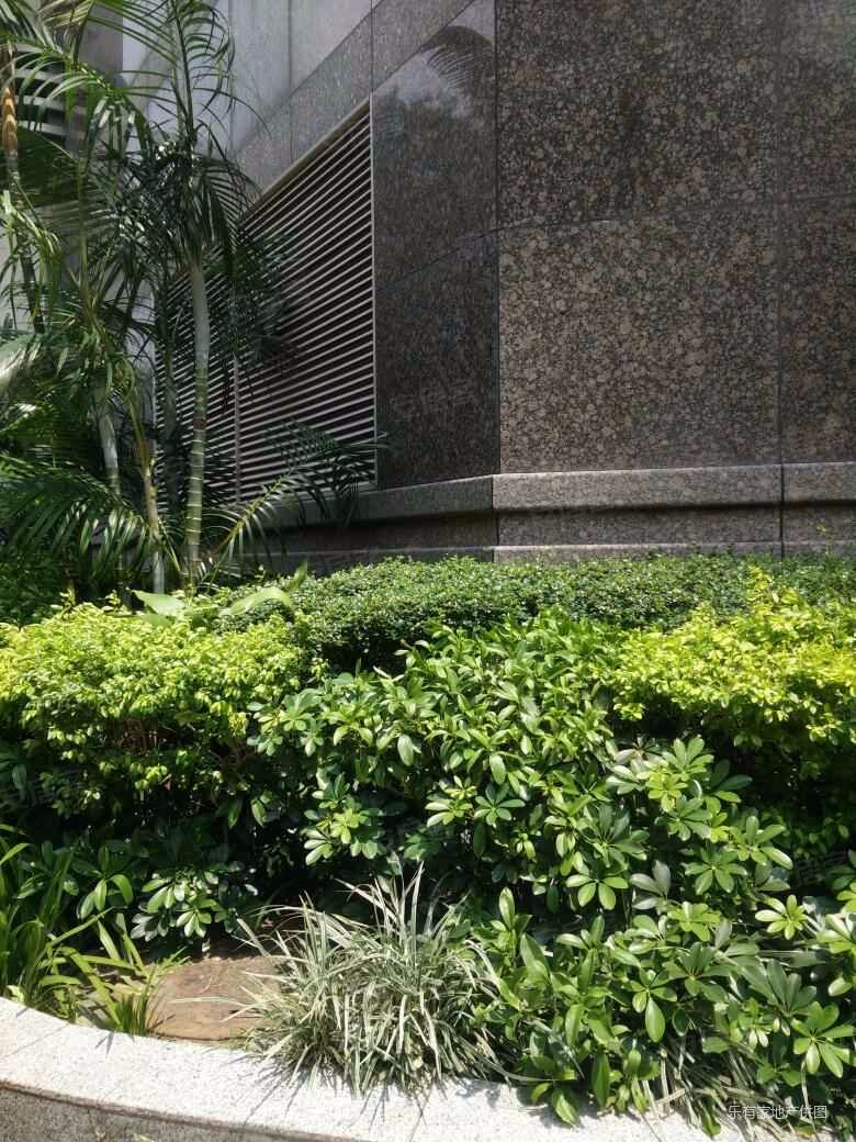 深圳房产网>深圳二手房>福田二手房>华强北二手房>南光捷佳大厦>
