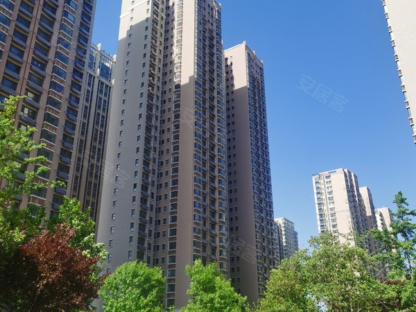 济南天桥堤口路南益名泉春晓东区名泉春晓 3室2厅 急租3800 实景照片