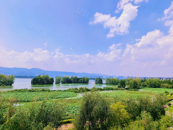 昆明西山滇池度假区听涛雅苑西贡码头 近海埂大坝 7.