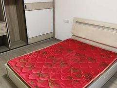 盐城亭湖宝龙整租 无中介费被褥齐全 解放路附近有房出租 拎包即住出租房源真实图片