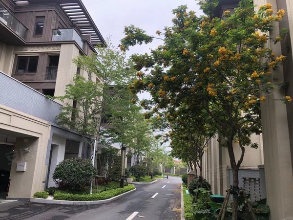 泉州晋江紫帽山世茂紫茂城(别墅)整租|全新未入住 世茂紫茂城 精装修