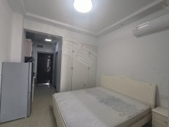 武汉蔡甸蔡甸周边精装一居室，独立卫生间，独两阳台，可做饭，居住方便出租房源真实图片