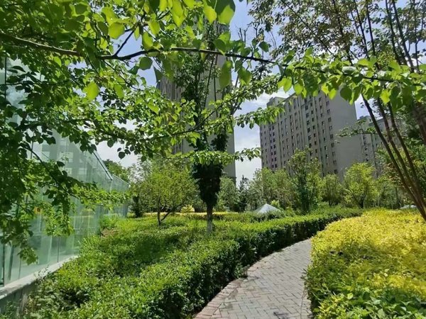 乌鲁木齐开发区开发区二期天麓花园经开区天麓花园小区精装两室出租